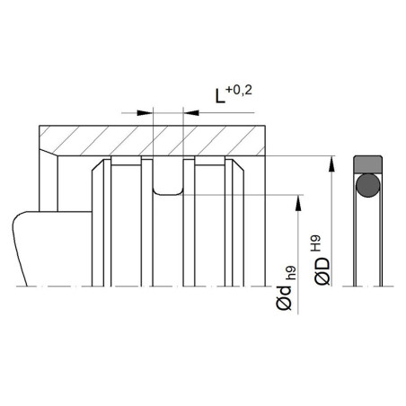 Junta PS-10 PTFE estándar 5,10x